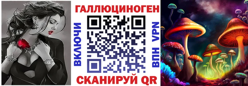 где купить наркотик  ОМГ ОМГ ссылка  Галлюциногенные грибы мицелий  Зеленогорск 
