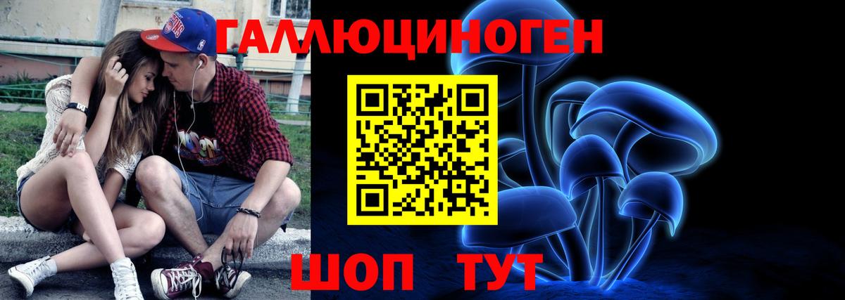 Зеленогорск  Псилоцибиновые грибы GOLDEN TEACHER  Вход с VPN 