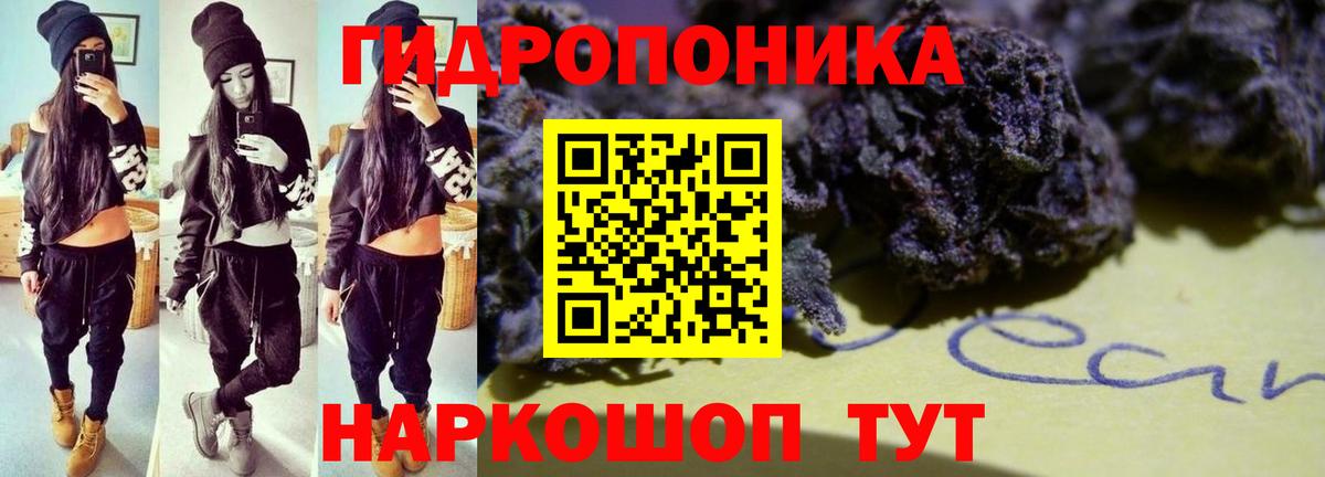 Бошки Шишки конопля  Каннабис SATIVA & INDICA  Зеленогорск  Бошки Шишки семена  Вход с VPN  Бошки Шишки Ganja 